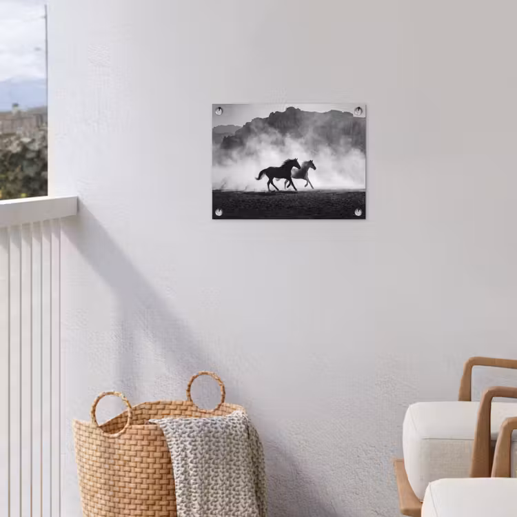 Paard - Ren - Stof - Zwart-wit - Dieren tuinposter los doek klein -sfeer8