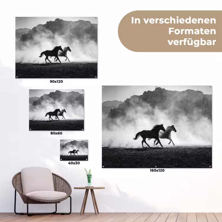 Paard - Ren - Stof - Zwart-wit - Dieren tuinposter los doek klein -Xsfeer9_DE