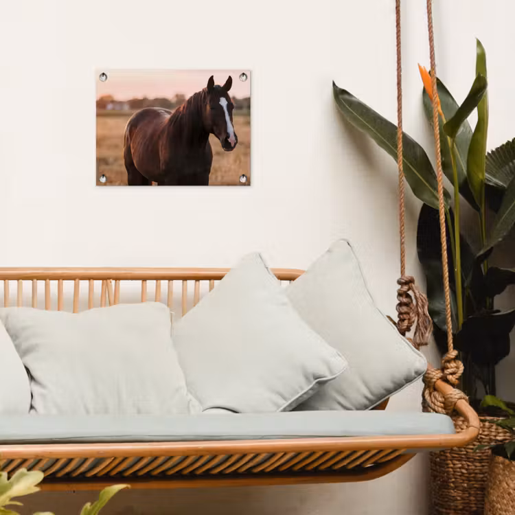 Paard - Zonsondergang - Bruin tuinposter los doek klein -sfeer7