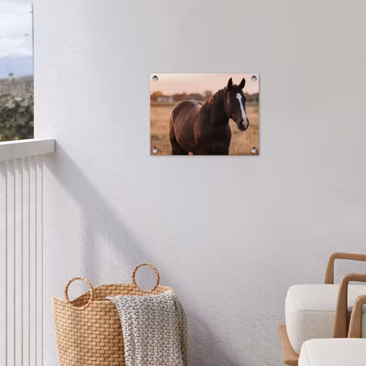 Paard - Zonsondergang - Bruin tuinposter los doek klein -sfeer8