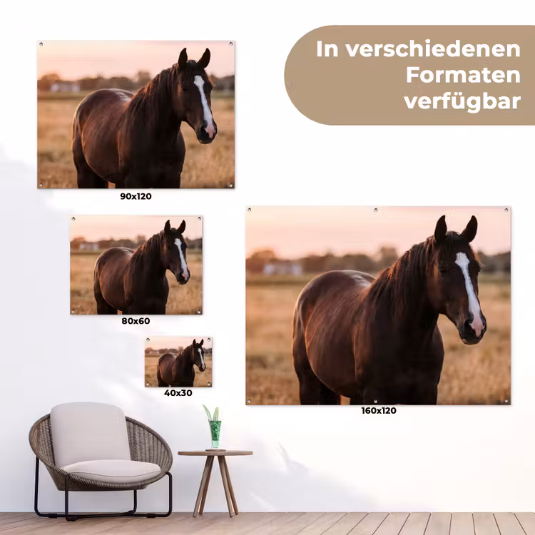 Paard - Zonsondergang - Bruin tuinposter los doek klein -Xsfeer9_DE
