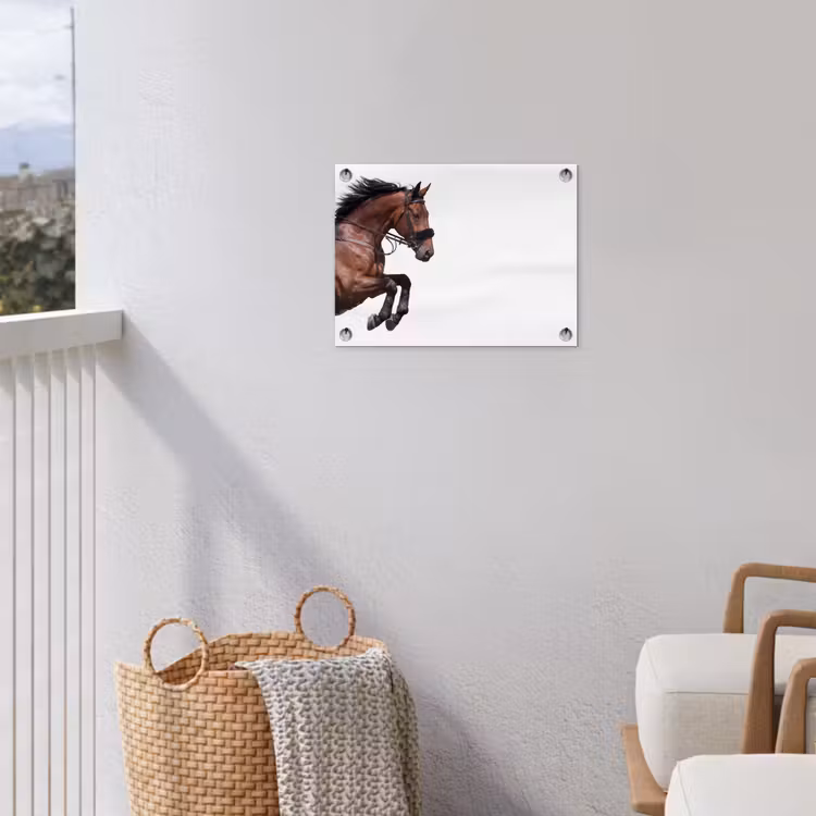 Paard - Springen - Modern tuinposter los doek klein -sfeer8