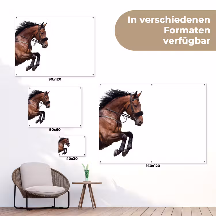 Paard - Springen - Modern tuinposter los doek klein -Xsfeer9_DE