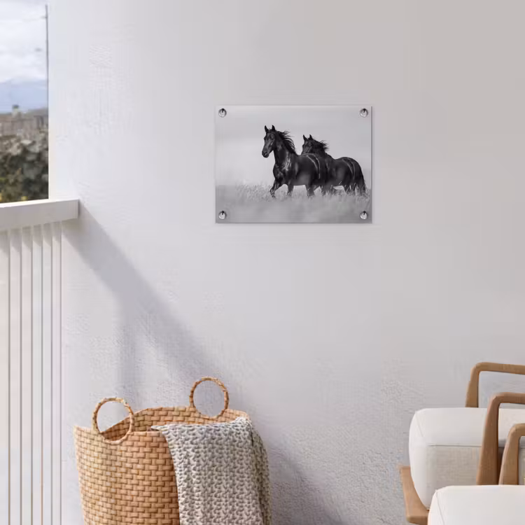 Paarden - Gras - Zwart - Wit tuinposter los doek klein -sfeer8