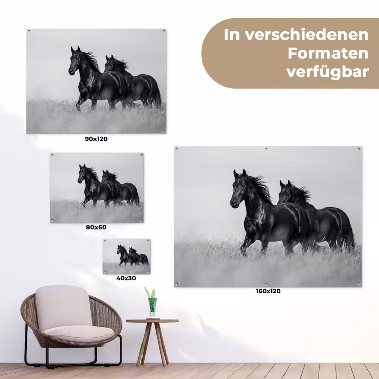 Paarden - Gras - Zwart - Wit tuinposter los doek klein -Xsfeer9_DE