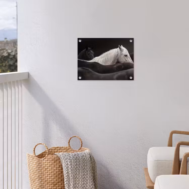 Paarden - Zwart - Wit - Kudde tuinposter los doek klein -sfeer8