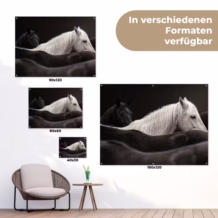 Paarden - Zwart - Wit - Kudde tuinposter los doek klein -Xsfeer9_DE