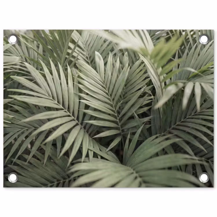 Plant - Palmbladeren - Natuur - Groen tuinposter los doek klein -3d