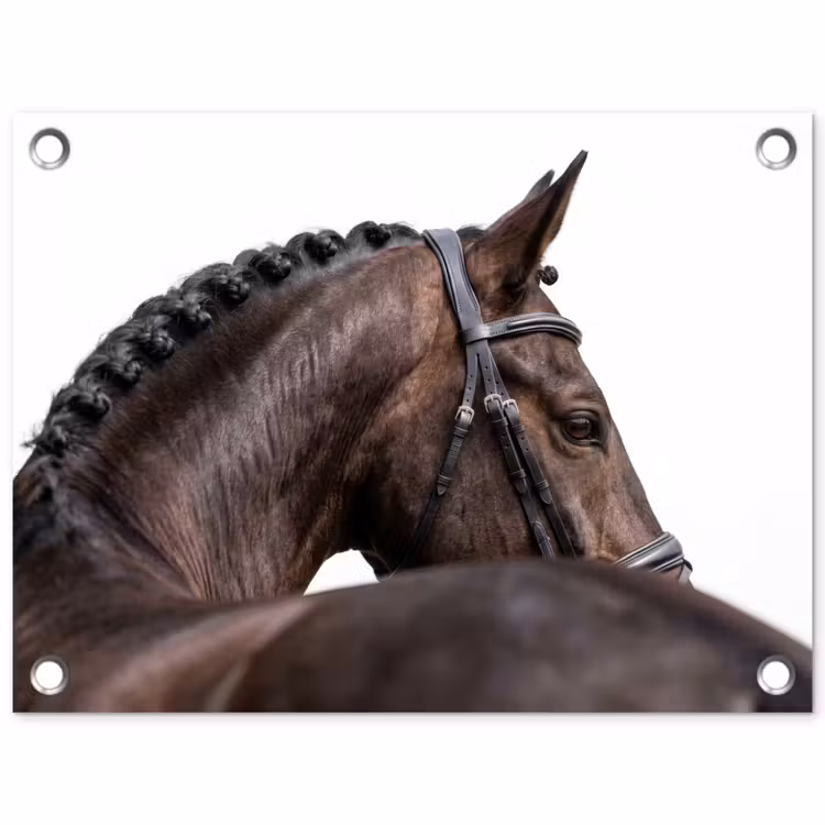 Portret - Paard - Elegant tuinposter los doek klein -3d