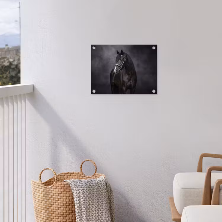 Portret - Paard - Zwart tuinposter los doek klein -sfeer8