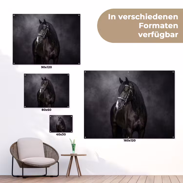 Portret - Paard - Zwart tuinposter los doek klein -Xsfeer9_DE