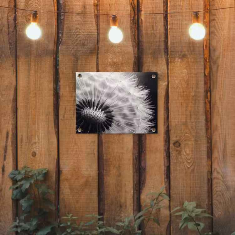 Paardenbloem - Zwart - Wit tuinposter los doek klein -sfeer1