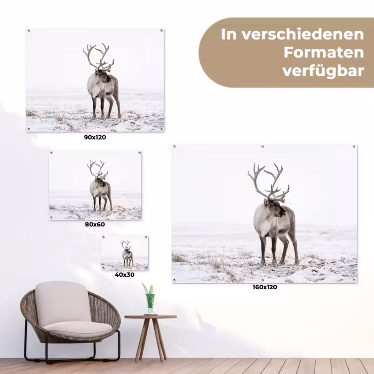 Rendier - Gewei - Sneeuw - Winter tuinposter los doek klein -Xsfeer9_DE
