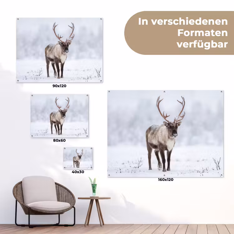 Rendier - Gewei - Toendra - Sneeuw - Wild tuinposter los doek klein -Xsfeer9_DE