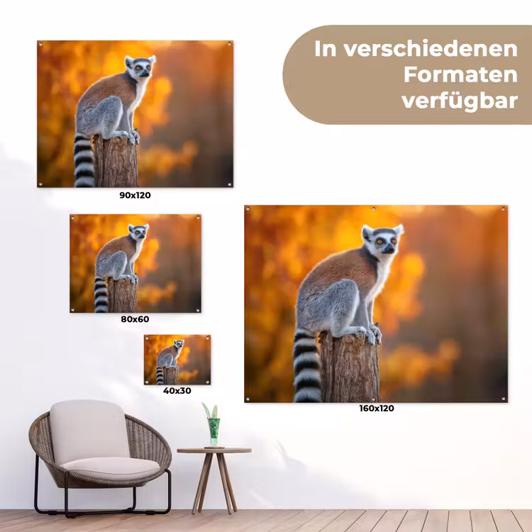 Ringstaartmaki - Boomstronk - Gestreept tuinposter los doek klein -Xsfeer9_DE