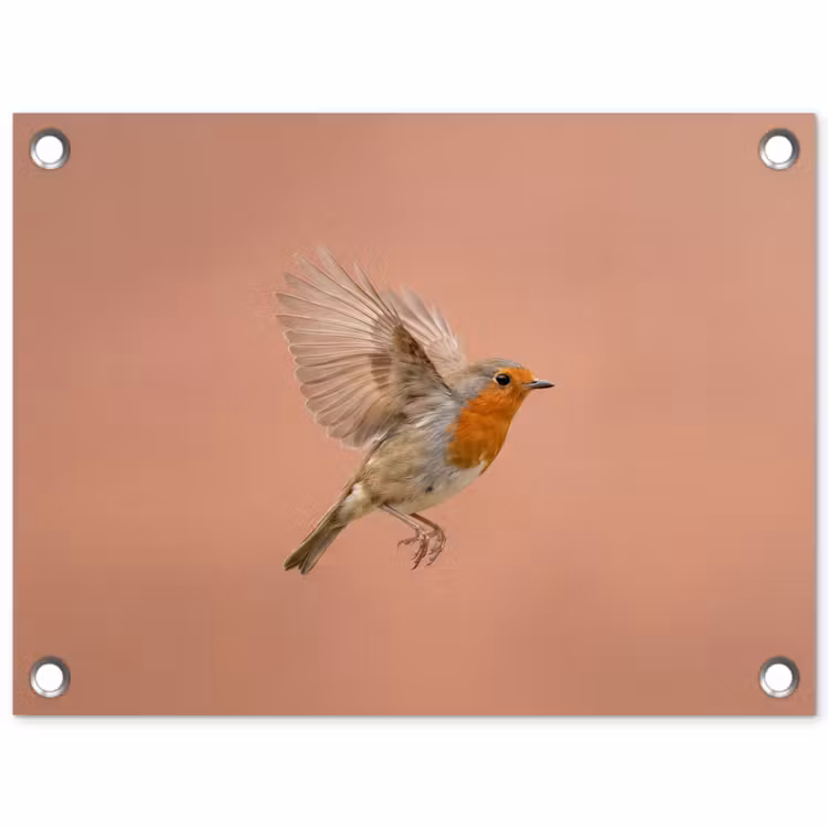 Roodborst - Natuur - Roze tuinposter los doek klein -3d