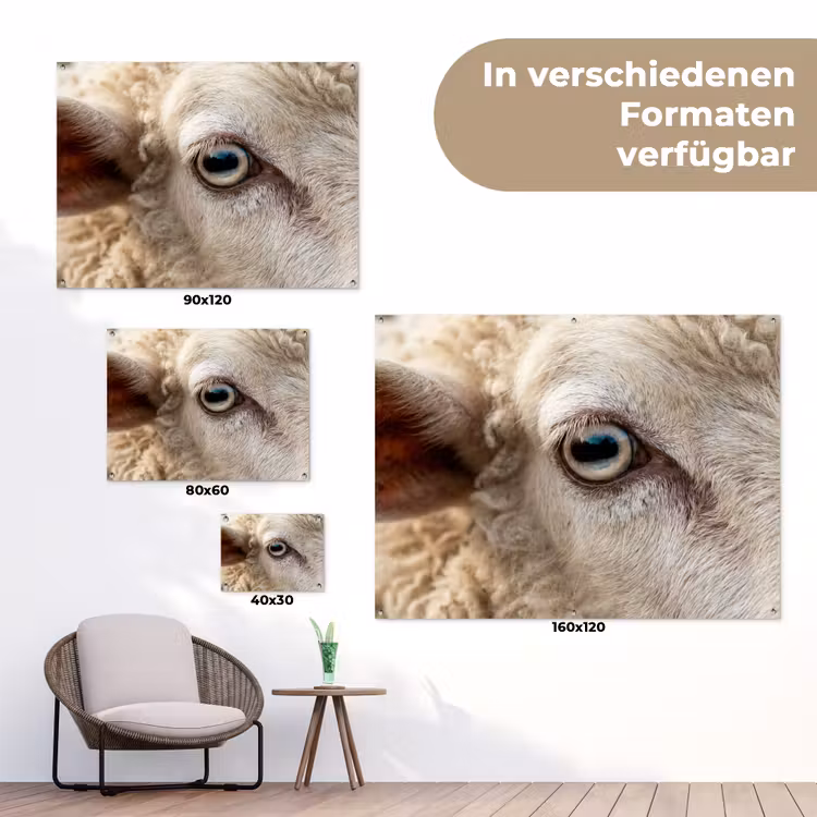 Schaap - Oog - Wit tuinposter los doek klein -Xsfeer9_DE