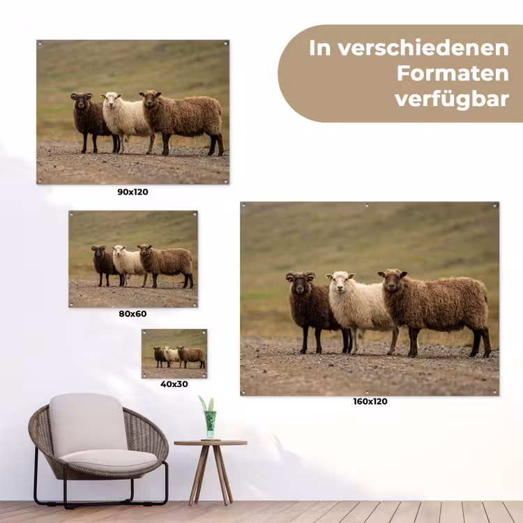Schapen - Bruin - Wit - Grindpad tuinposter los doek klein -Xsfeer9_DE