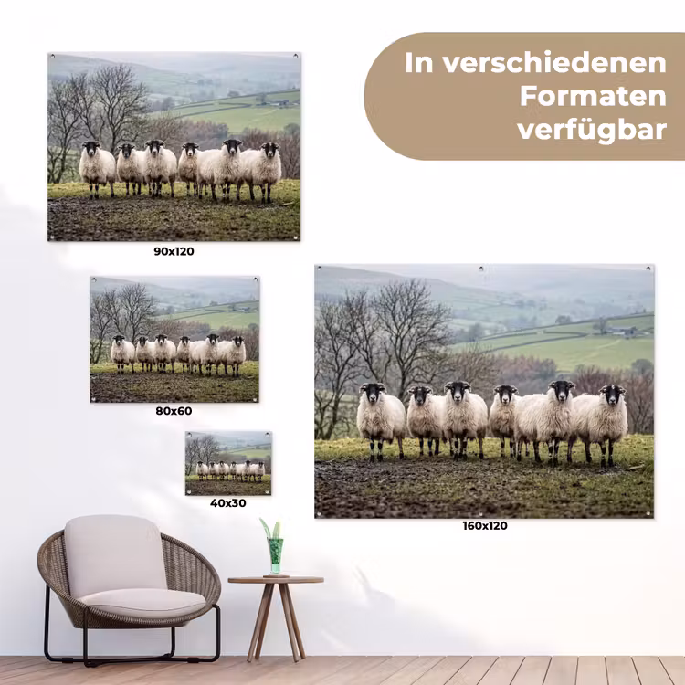 Schapen - Rij - Weide - Dieren - Platteland tuinposter los doek klein -Xsfeer9_DE