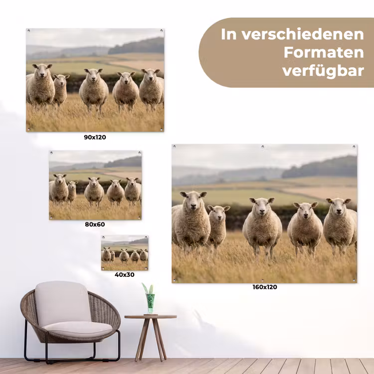 Schapen - Weidenlandschap - Heuvels tuinposter los doek klein -Xsfeer9_DE