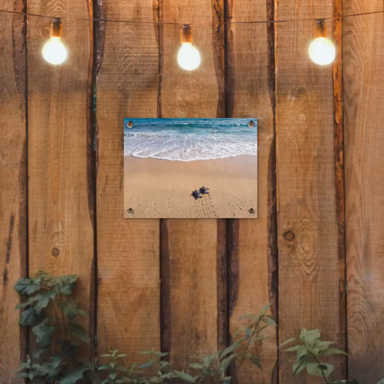 Schildpad - Jong - Strand - Oceaan - Blauw tuinposter los doek klein -sfeer1