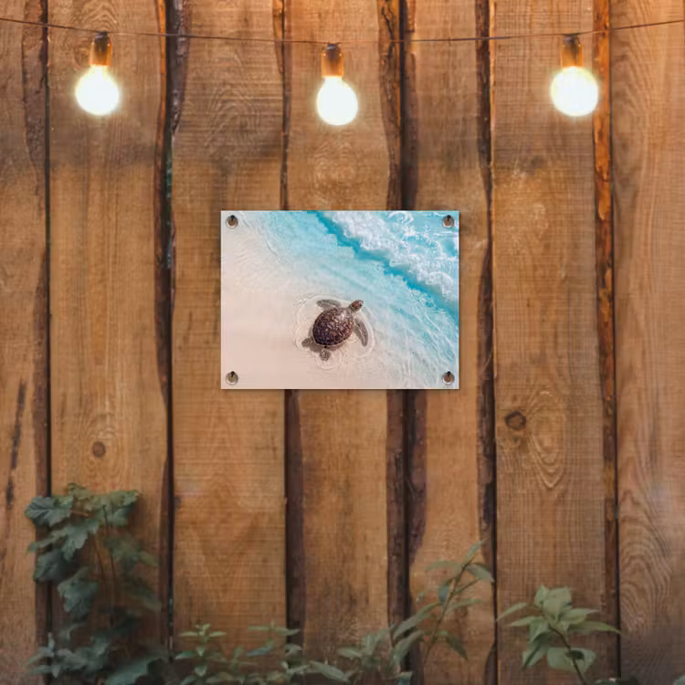 Schildpad - Helder water - Strand - Dieren - Natuur tuinposter los doek klein -sfeer1