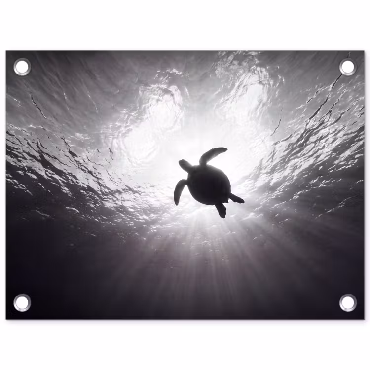 Schildpad - Onderwater - Lichtstralen - Oceaan - Zwart-wit tuinposter los doek klein -3d