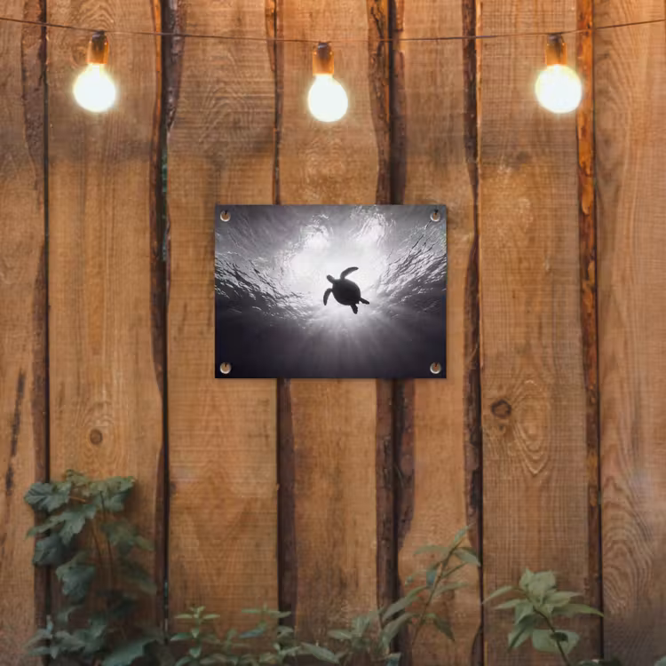 Schildpad - Onderwater - Lichtstralen - Oceaan - Zwart-wit tuinposter los doek klein -sfeer1