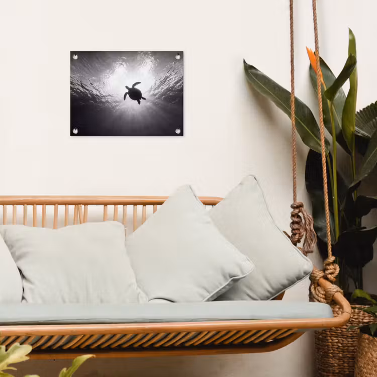 Schildpad - Onderwater - Lichtstralen - Oceaan - Zwart-wit tuinposter los doek klein -sfeer7