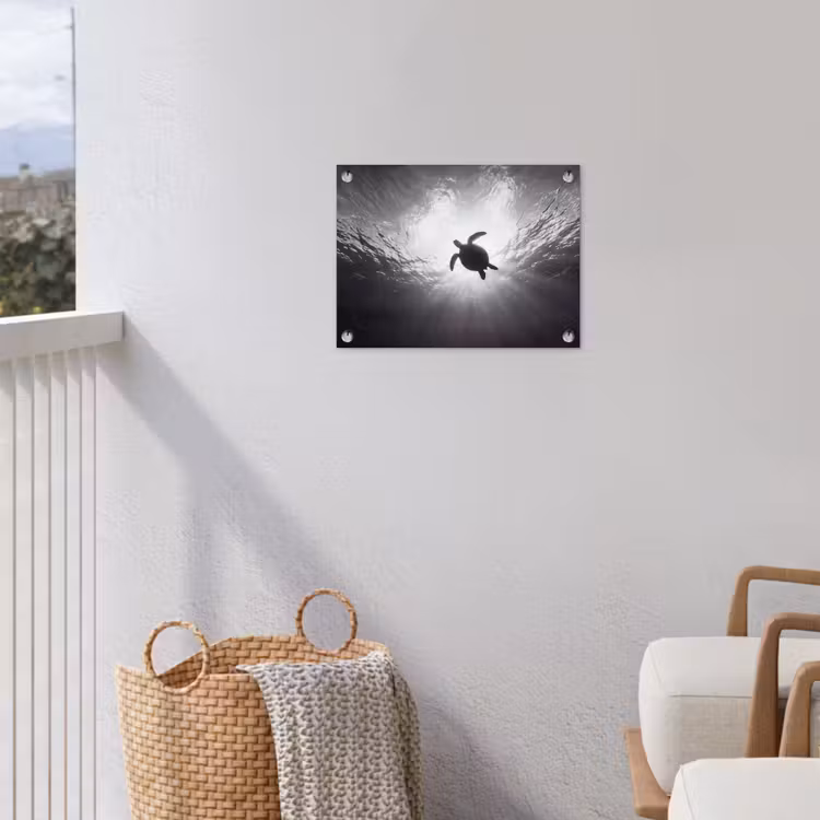 Schildpad - Onderwater - Lichtstralen - Oceaan - Zwart-wit tuinposter los doek klein -sfeer8