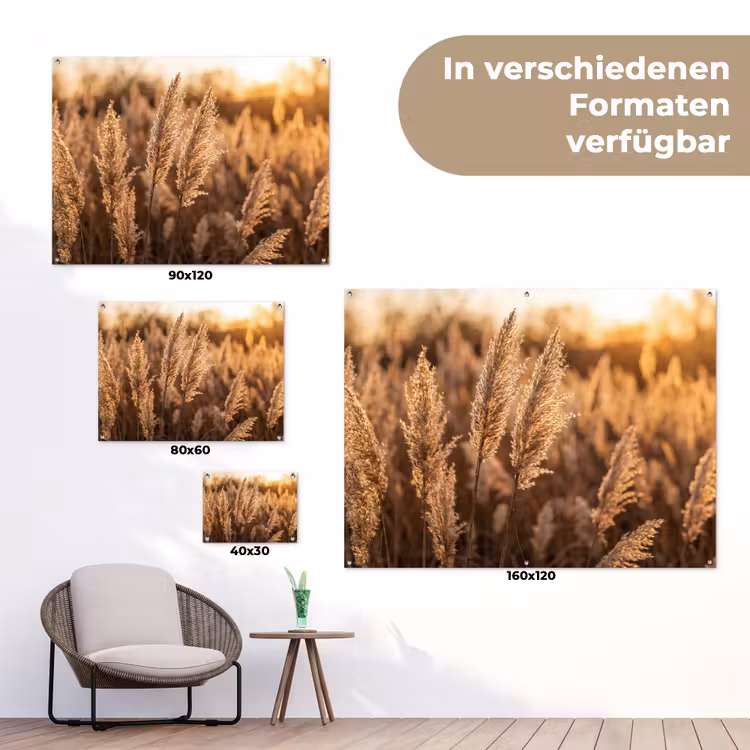 Rietpluimen - Gras - Zonsondergang - Goud - Serene tuinposter los doek klein -Xsfeer9_DE