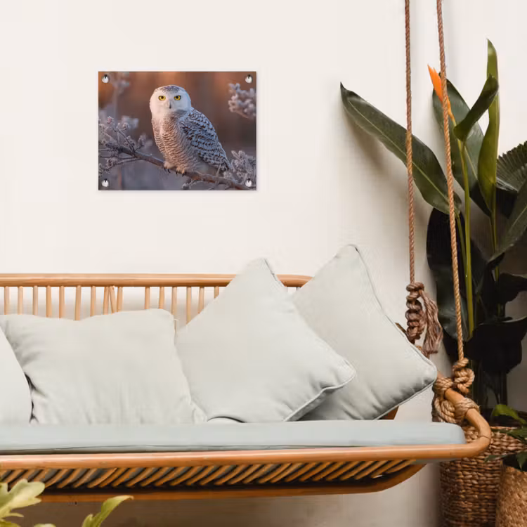 Sneeuwuil - Wit - Tak - Sneeuw tuinposter los doek klein -sfeer7