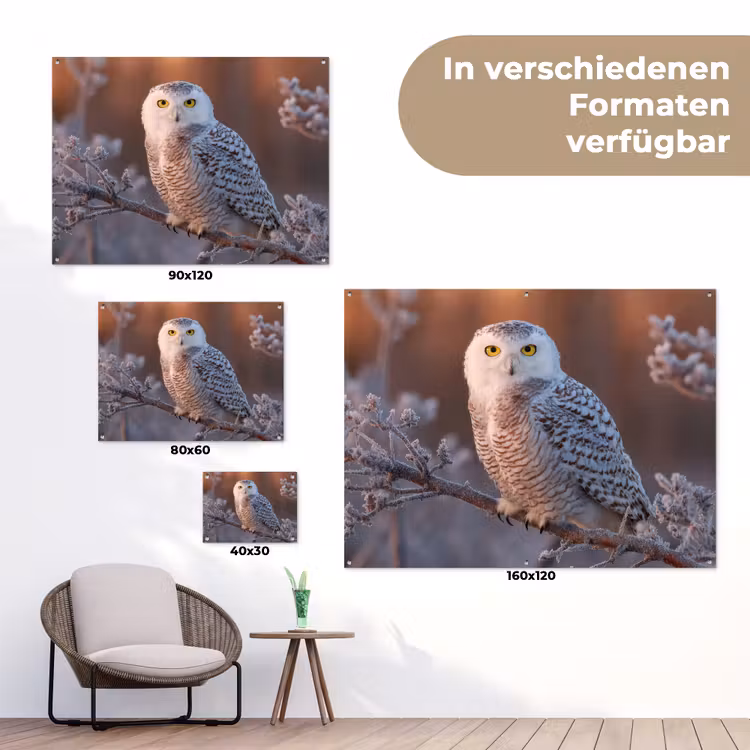Sneeuwuil - Wit - Tak - Sneeuw tuinposter los doek klein -Xsfeer9_DE