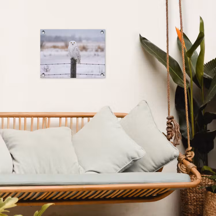 Sneeuwuil - Hek - Sneeuw - Wit tuinposter los doek klein -sfeer7