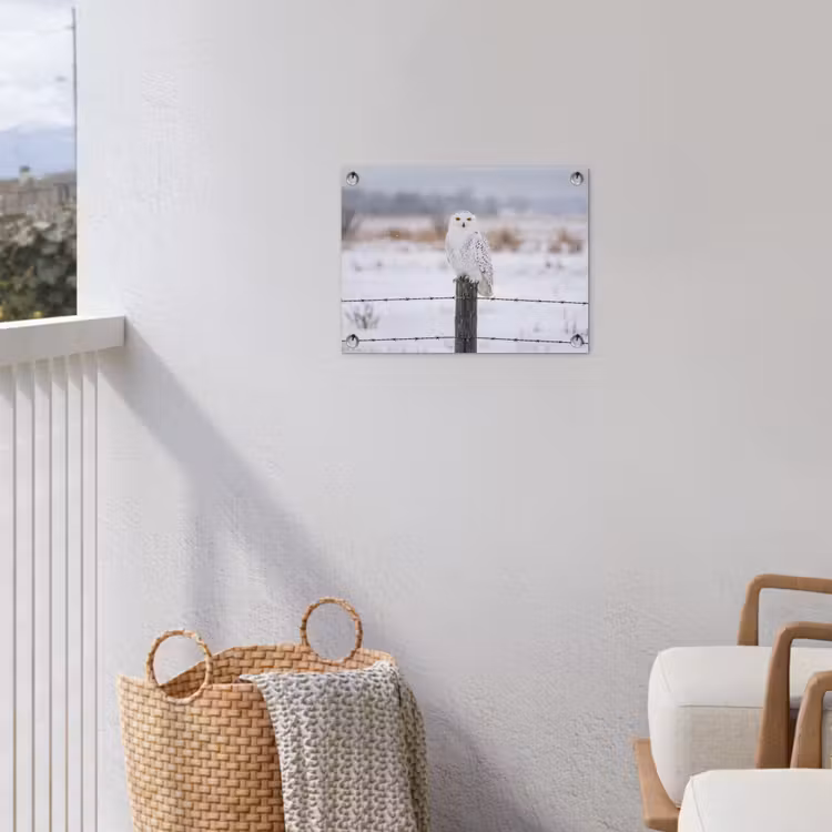 Sneeuwuil - Hek - Sneeuw - Wit tuinposter los doek klein -sfeer8