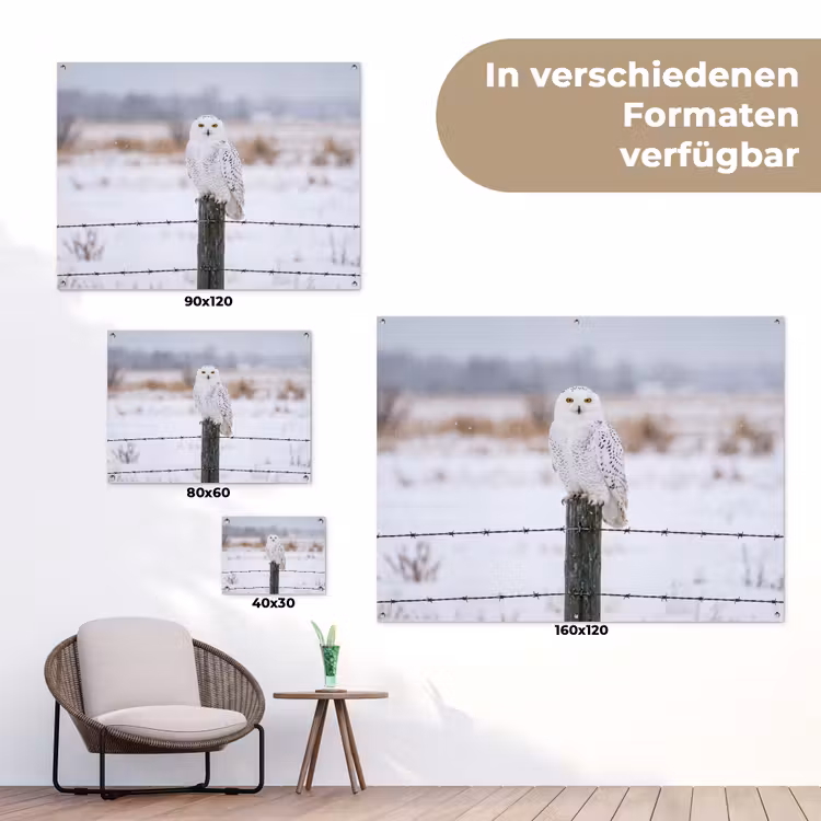 Sneeuwuil - Hek - Sneeuw - Wit tuinposter los doek klein -Xsfeer9_DE