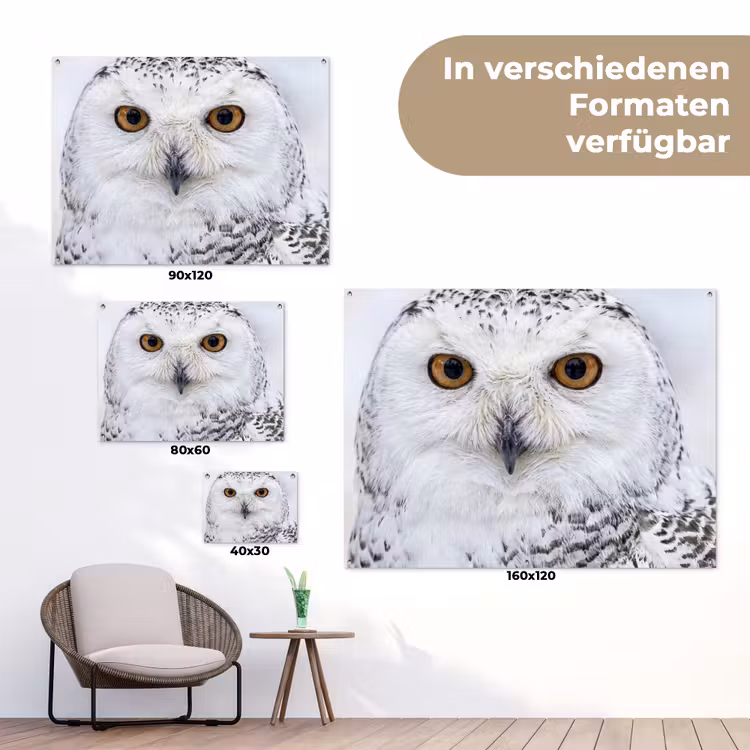 Sneeuwuil - Oog - Wildlife - Wit tuinposter los doek klein -Xsfeer9_DE