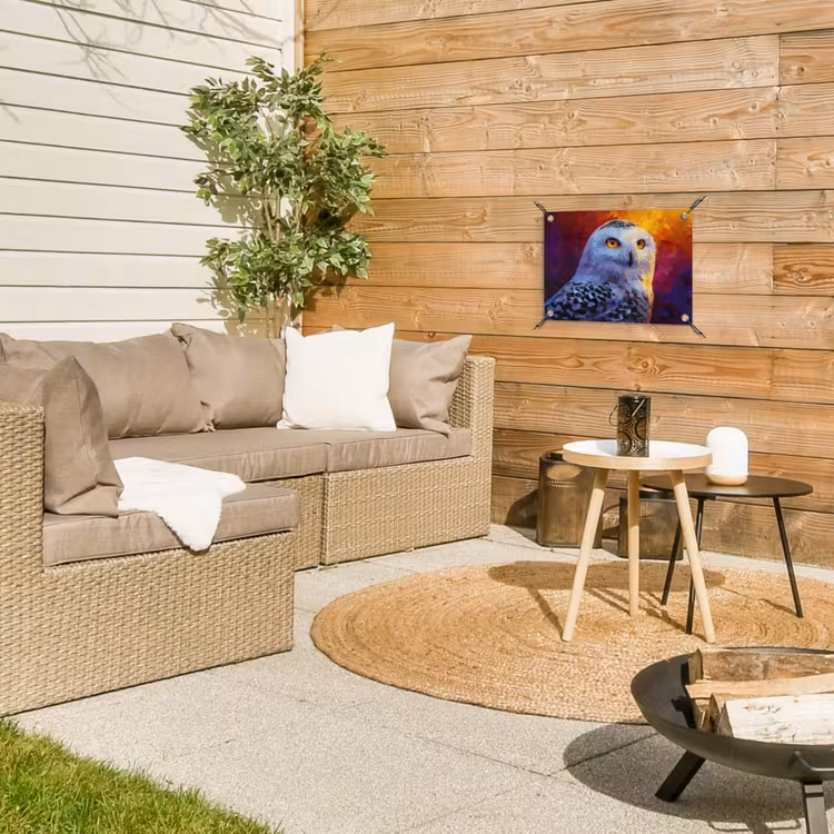 Sneeuwuil - Schilderij - Kleurrijk - Wit tuinposter los doek klein -sfeer4