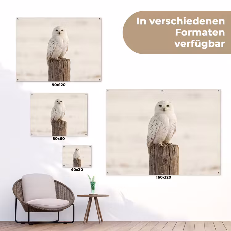 Sneeuwuil - Paal - Winter - Portret - Majestueus tuinposter los doek klein -Xsfeer9_DE