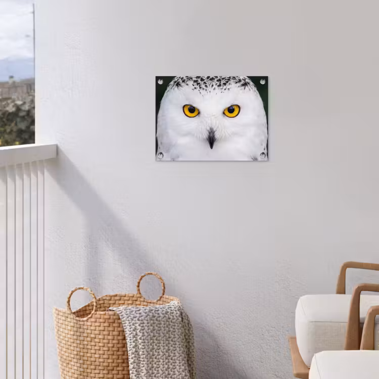 Sneeuwuil - Portret - Geel tuinposter los doek klein -sfeer8