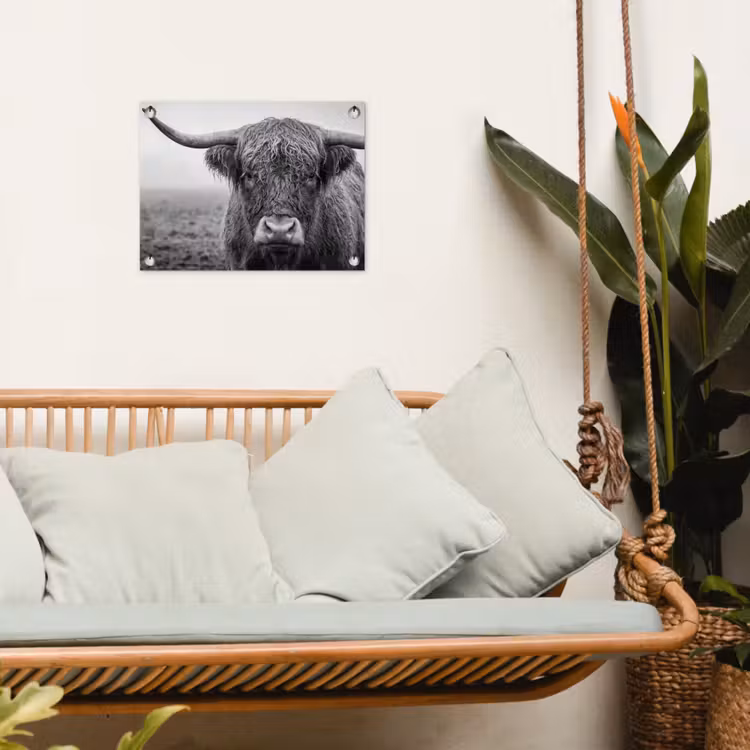 Schotse hooglander - Zwart - Wit - Gras tuinposter los doek klein -sfeer7