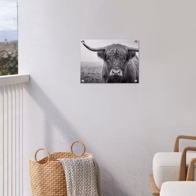Schotse hooglander - Zwart - Wit - Gras tuinposter los doek klein -sfeer8
