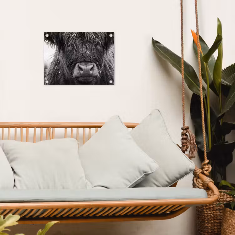 Schotse hooglander - Zwart - Wit - Sneeuwvlokken tuinposter los doek klein -sfeer7