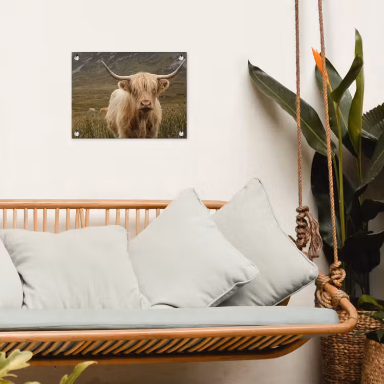 Schotse hooglander - Bergen - Grasveld tuinposter los doek klein -sfeer7