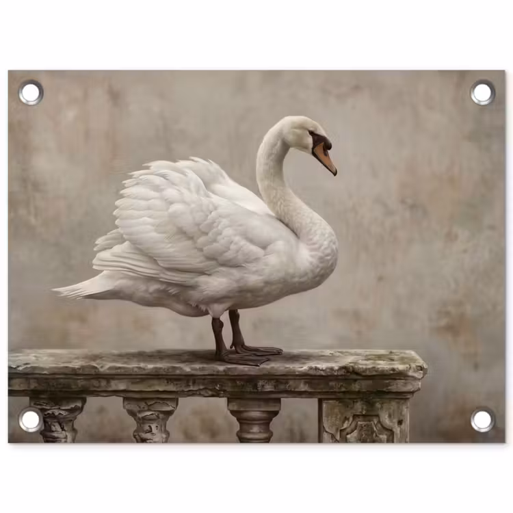 Zwaan - Elegant - Dieren - Wit tuinposter los doek klein -3d