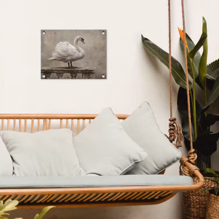 Zwaan - Elegant - Dieren - Wit tuinposter los doek klein -sfeer7