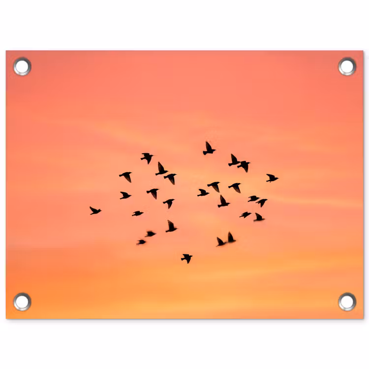 Zwerm - Vogels - Oranje tuinposter los doek klein -3d