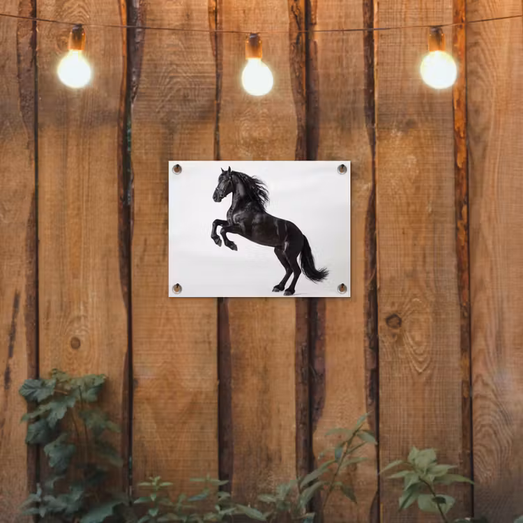 Zwart - Paard - Portret tuinposter los doek klein -sfeer1
