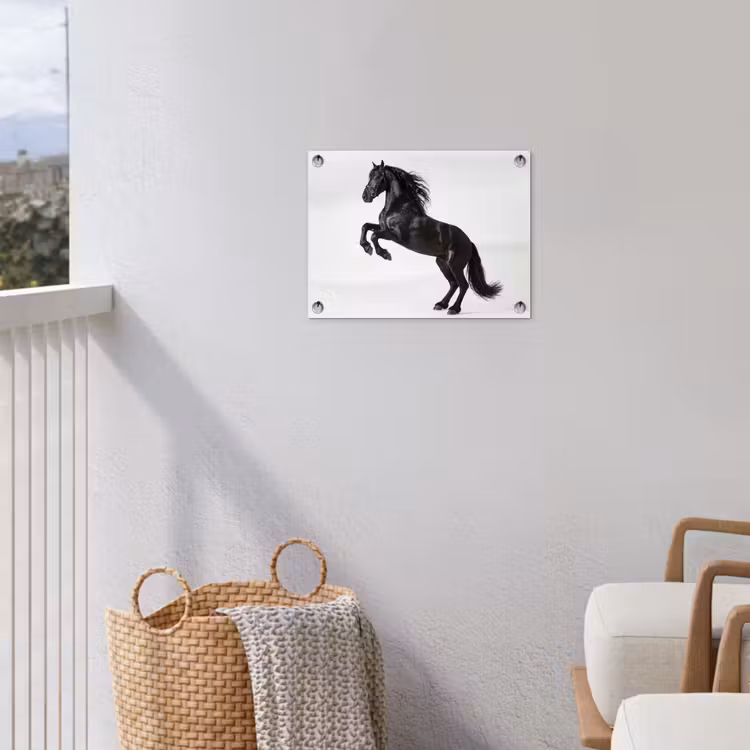 Zwart - Paard - Portret tuinposter los doek klein -sfeer8