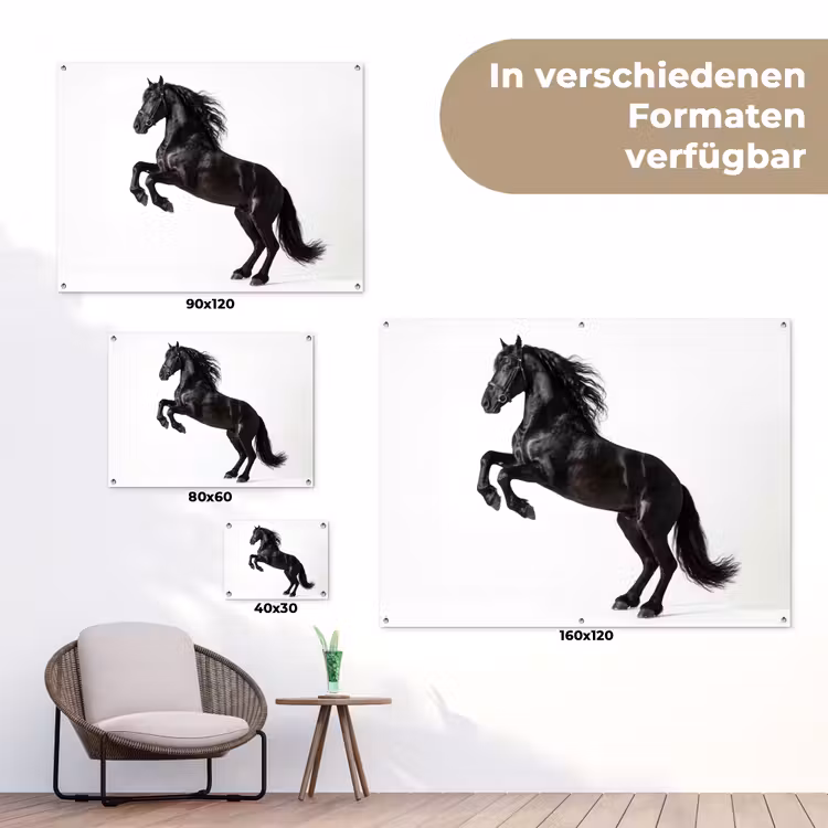Zwart - Paard - Portret tuinposter los doek klein -Xsfeer9_DE